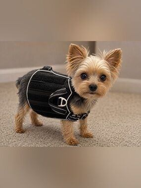 Adjustable Black Dog Harness Vest for Small Breeds